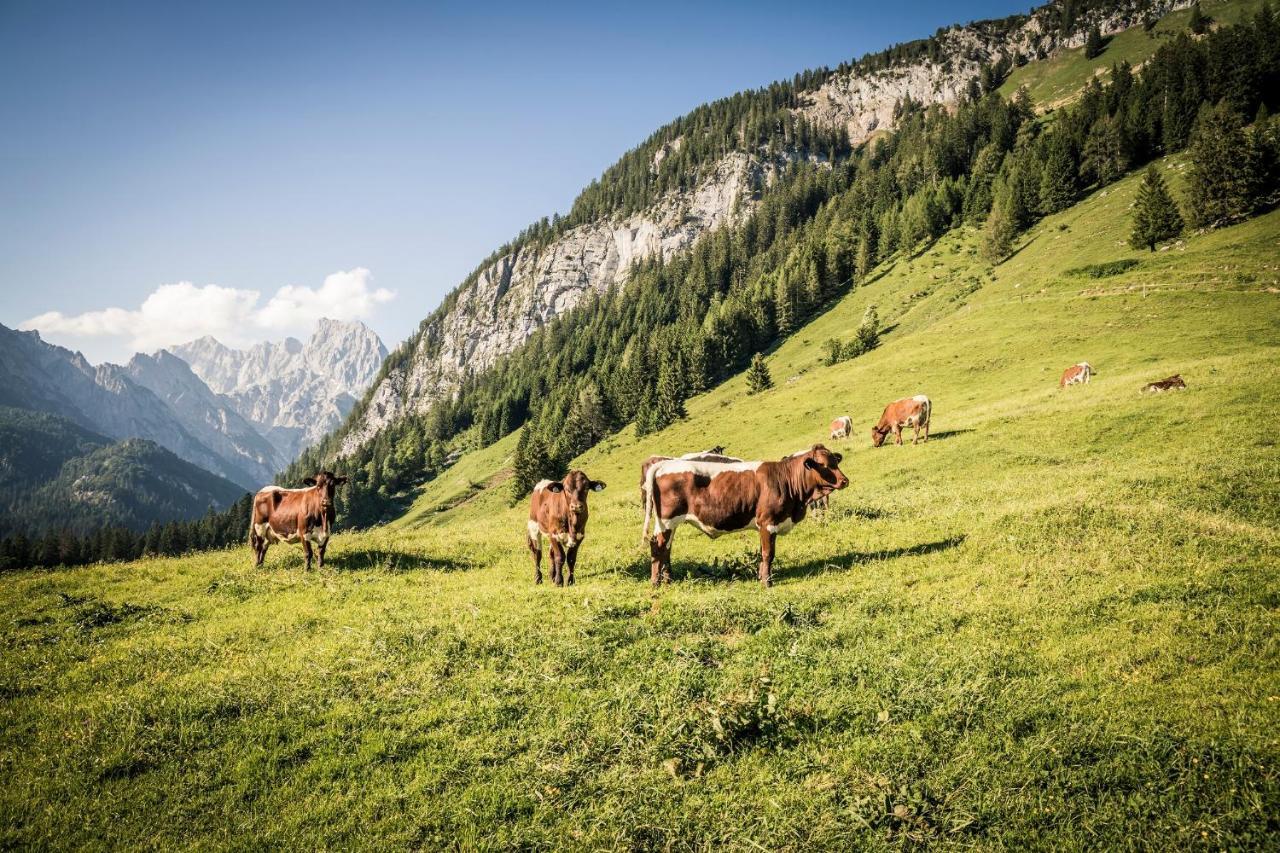 Exklusive FeWo Drachleck mit 3 Schlafzimmern&Panoramabergblick in bester Lage Schönau am Königssee Exterior foto